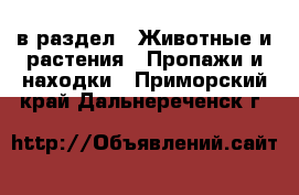  в раздел : Животные и растения » Пропажи и находки . Приморский край,Дальнереченск г.